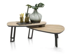 Salontafel DARWIN - Oack/Beach Hout