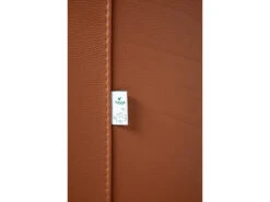 Fauteuil 387 TIMES - Leder Bull Cognac Cognac 14 Fauteuil 387 TIMES - Leder Bull Cognac Cognac -Zuiver || RICHMOND Verkoop calia 387 times 36695