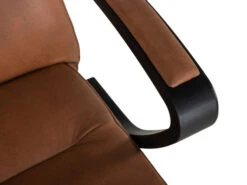 Relaxfauteuil STYLE - Cognac Leder Cognac -Zuiver || RICHMOND Verkoop conform quattro 65687