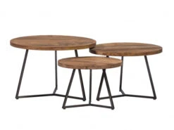 Salontafel Set Van 3 XG557 - Hout/metaal Hout