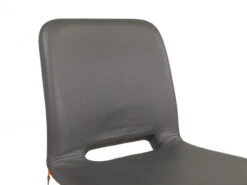 Eetkamerstoel PAMP - Grijs Leder/metaal Grijs -Zuiver || RICHMOND Verkoop mobitec pamp 56383