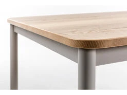 Tafel BASIC - Natuur Eiken/zand Taupe Hout 8 Tafel BASIC - Natuur Eiken/zand Taupe Hout -Zuiver || RICHMOND Verkoop perfecta basic 33528