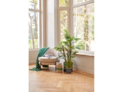 Fauteuil MILES - Beige Beige 7 Fauteuil MILES - Beige Beige -Zuiver || RICHMOND Verkoop pomax miles 58971