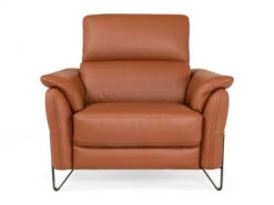 Fauteuil ALADIN - Cognac Cognac -Zuiver || RICHMOND Verkoop richter design aladin 63070
