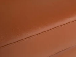 Fauteuil ALADIN - Cognac Cognac -Zuiver || RICHMOND Verkoop richter design aladin 63071