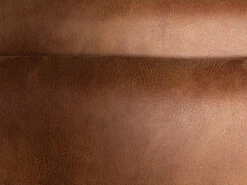 Elektrische Relaxfauteuil DM - Cognac Cognac -Zuiver || RICHMOND Verkoop richter design dm b6002 57536