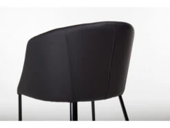 Stoel OTIS - Antraciet Zwart -Zuiver || RICHMOND Verkoop richter young design 21350