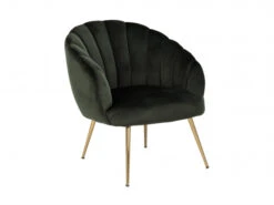 Fauteuil DANIELLA - Groen Velvet Groen