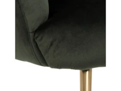 Fauteuil DANIELLA - Groen Velvet Groen -Zuiver || RICHMOND Verkoop richter young design daniella 34351