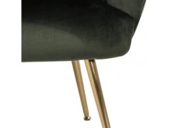 Fauteuil DANIELLA - Groen Velvet Groen -Zuiver || RICHMOND Verkoop richter young design daniella 34352