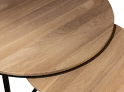 Set 2 Salontafels DENEMARKEN - Eik Bianco Hout 12 Set 2 Salontafels DENEMARKEN - Eik Bianco Hout -Zuiver || RICHMOND Verkoop richter young design denemarken 66291