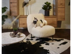 Fauteuil DOLLY - Wit Wit -Zuiver || RICHMOND Verkoop richter young design dolly 43732