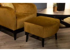 Fauteuil Met Voetbank OMNIA - Kronos Gold Goud 22 Fauteuil Met Voetbank OMNIA - Kronos Gold Goud -Zuiver || RICHMOND Verkoop richter young design omnia 51756