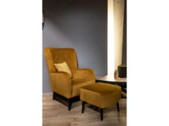 Fauteuil Met Voetbank OMNIA - Kronos Gold Goud 23 Fauteuil Met Voetbank OMNIA - Kronos Gold Goud -Zuiver || RICHMOND Verkoop richter young design omnia 51757