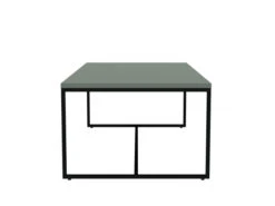 Salontafel LIPP - Misty Green Groen -Zuiver || RICHMOND Verkoop tenzo lipp 46422