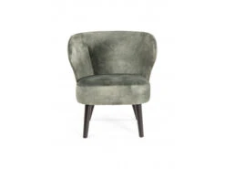 Loungestoel CAPRICE - Groen Groen -Zuiver || RICHMOND Verkoop william winston caprice 67669