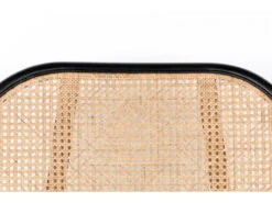 Zuiver Fauteuil SPIKE - Roze/naturel Roze 31 Zuiver Fauteuil SPIKE - Roze/naturel Roze -Zuiver || RICHMOND Verkoop zuiver spike 35287