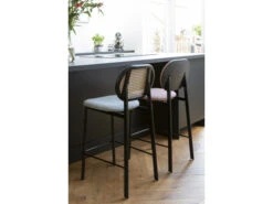 Zuiver Barstoel SPIKE - Roze Roze -Zuiver || RICHMOND Verkoop zuiver spike 41792