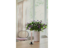 Zuiver Fauteuil SPIKE - Roze/naturel Roze 39 Zuiver Fauteuil SPIKE - Roze/naturel Roze -Zuiver || RICHMOND Verkoop zuiver spike 59516